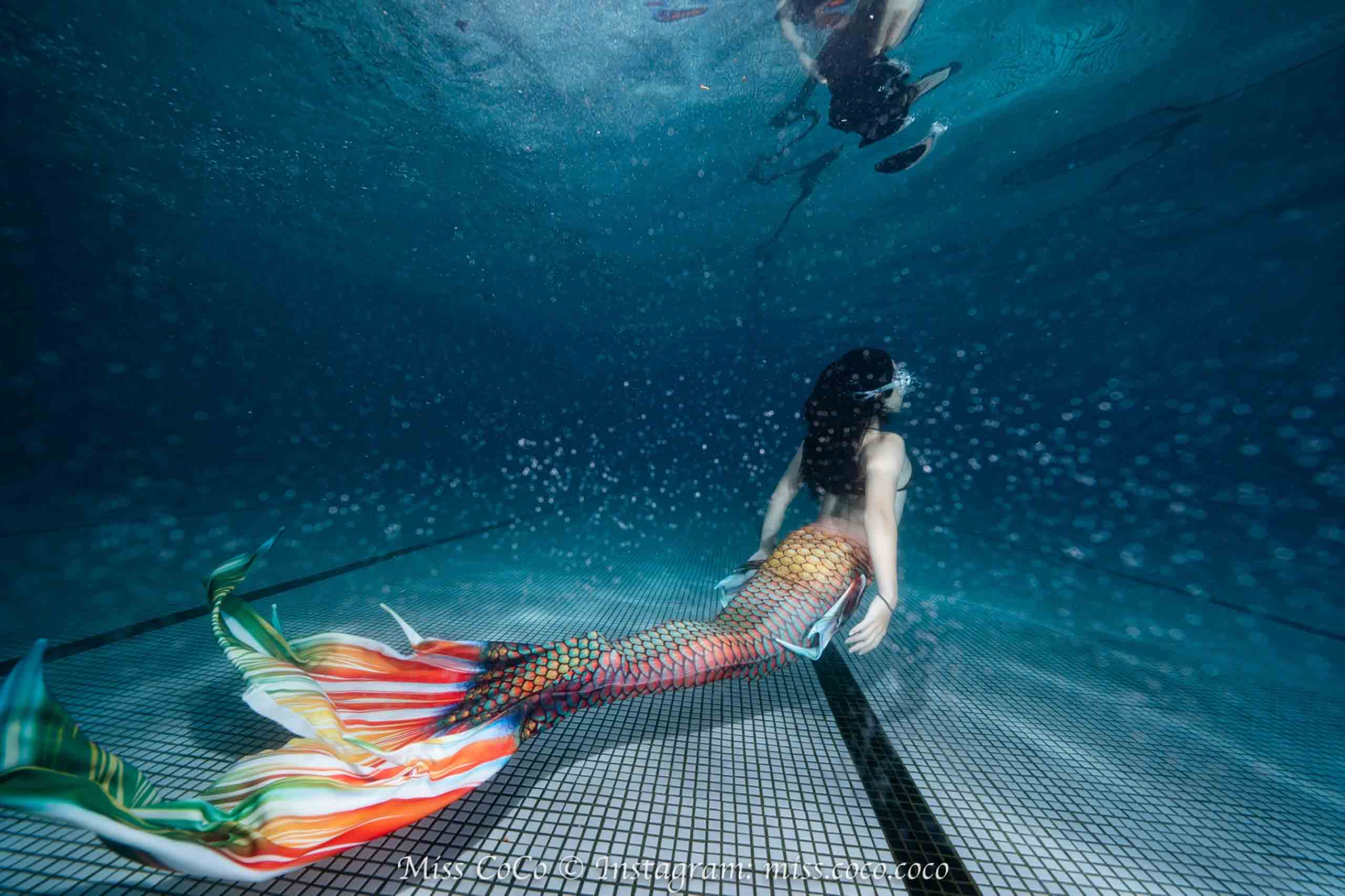 海裡見潛水俱樂部 水肺潛水 ScubaDiving 自由潛水 FreeDiving PADI 美人魚 Mermaid 6